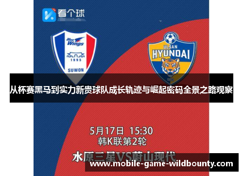 从杯赛黑马到实力新贵球队成长轨迹与崛起密码全景之路观察