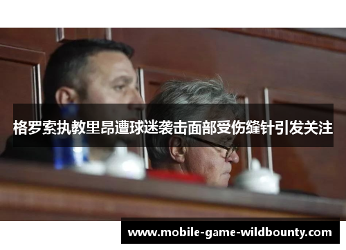 格罗索执教里昂遭球迷袭击面部受伤缝针引发关注