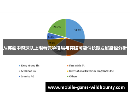 从英超中游球队上限看竞争格局与突破可能性长期发展路径分析 从英超中游球队上限看竞争格局与突破可能性长期发展路径分析